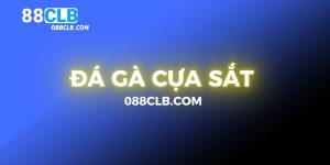 da-ga-cua-sat-88clb