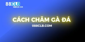 cach-cham-ga-da