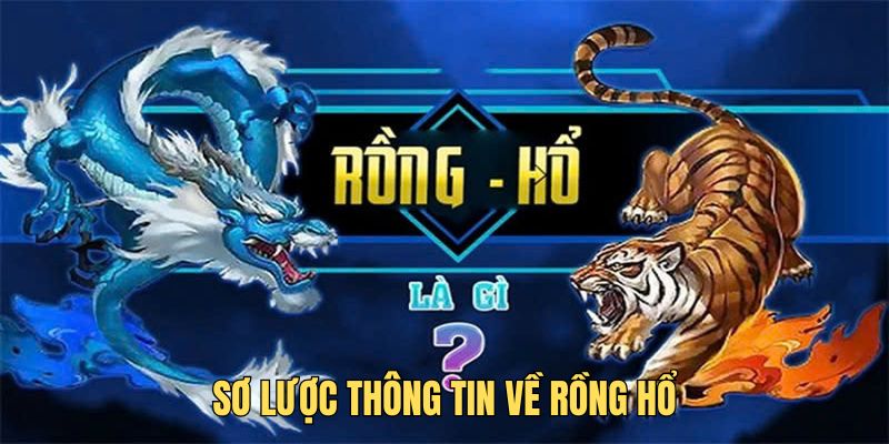 so-luoc-thong-tin-ve-rong-ho